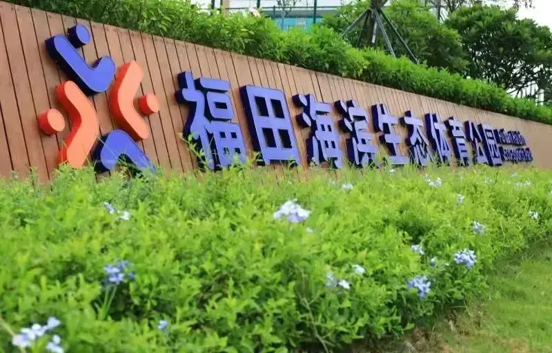 篮球训练心得体会400字怎么写_2